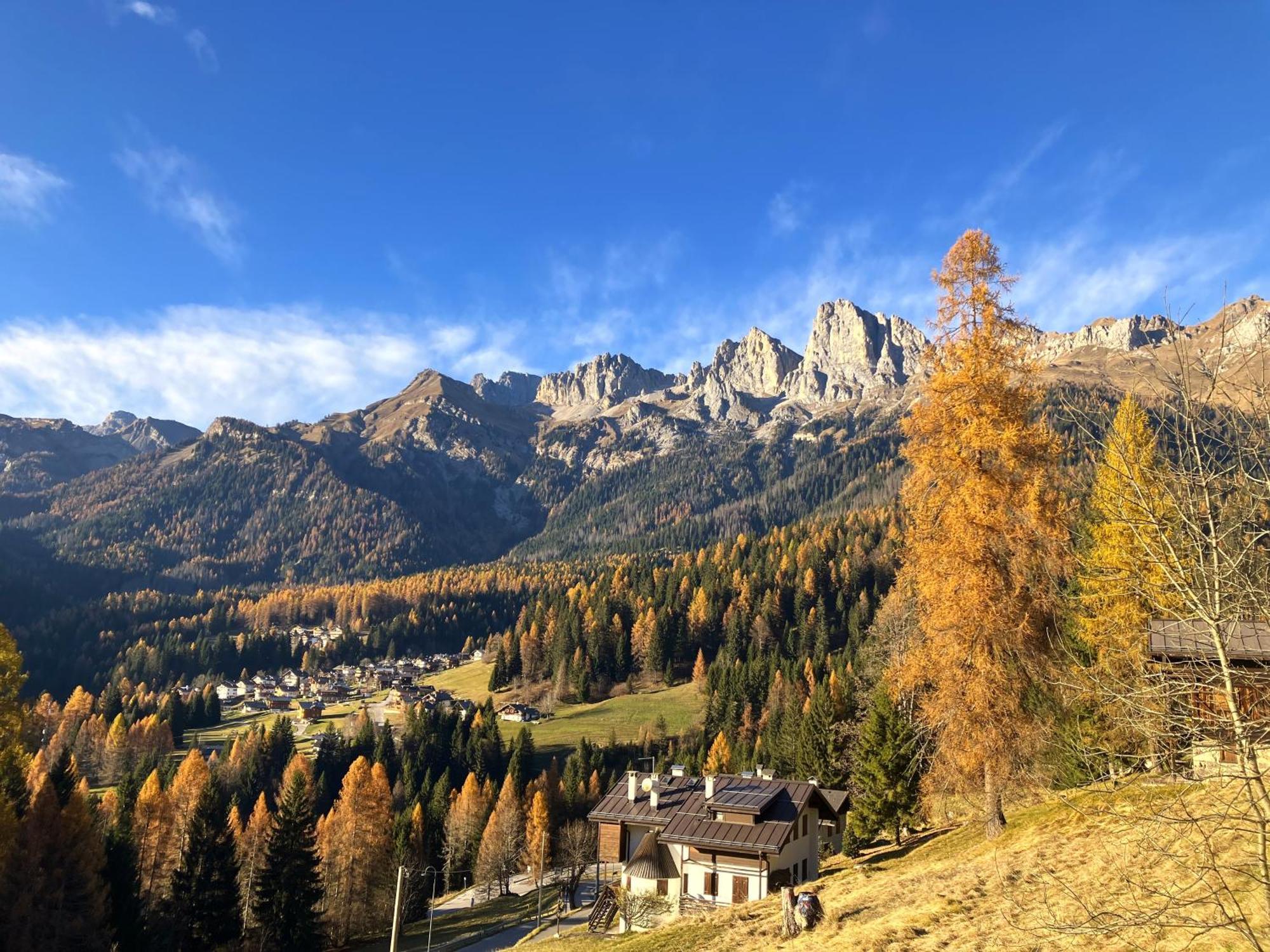 Appartamento Dolomiti Dream 1 Falcade Kültér fotó